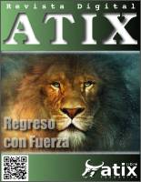 Revista Atix - nº 20 - 2013-01