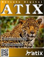 Revista Atix nº 22 - 2013-07