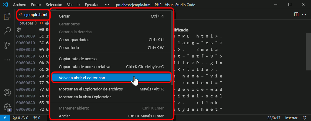 VSC. Editor hexadecimal