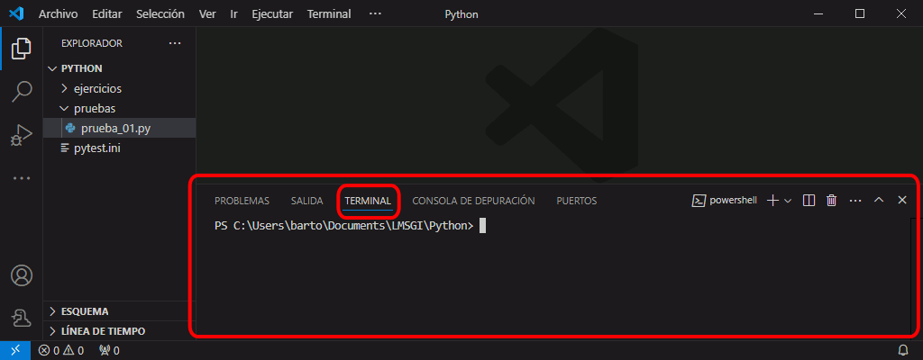 Pestaña de Terminal de VSCode abierta