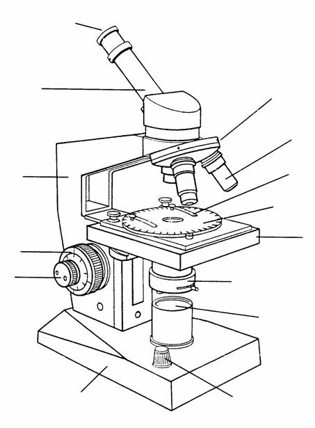 microscopio 1